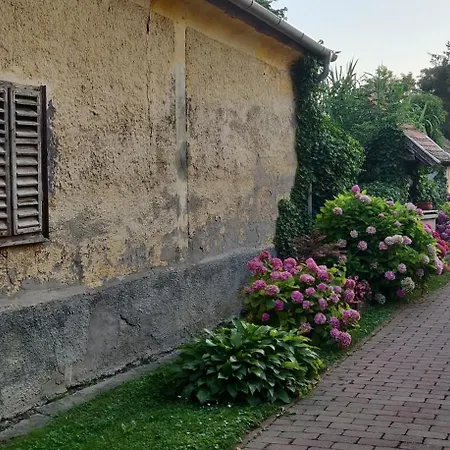 Korona Panzio Bed & Breakfast Balatonbereny