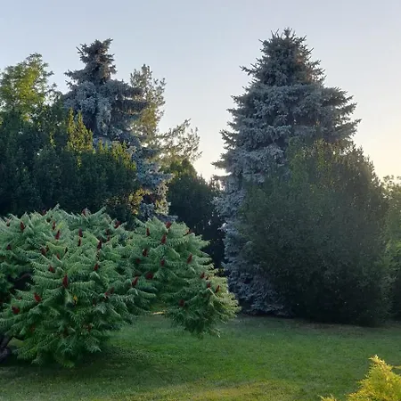 Korona Panzio Bed & Breakfast