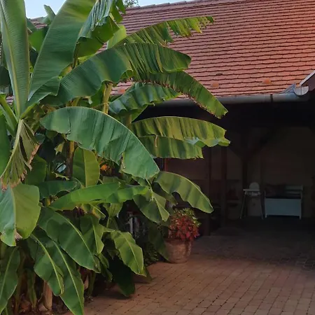 Bed & Breakfast Korona Panzio *