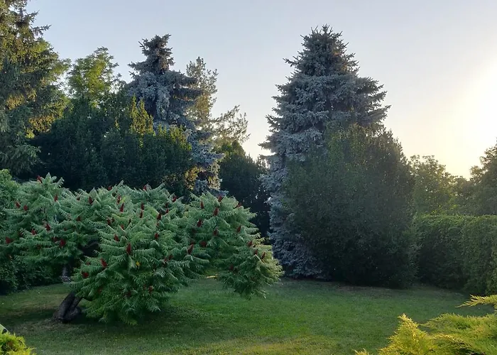 Korona Panzio Отель типа 